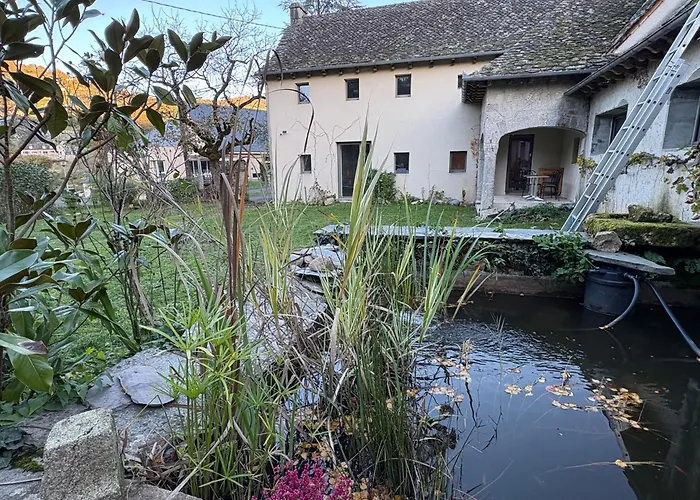 Сasa de vacaciones Saures *